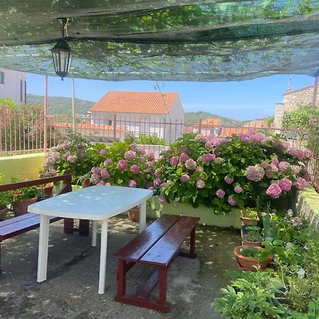 Apartment Bilic