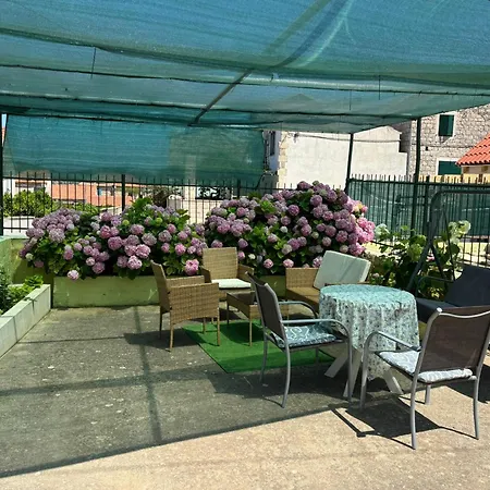 Apartment Bilić
