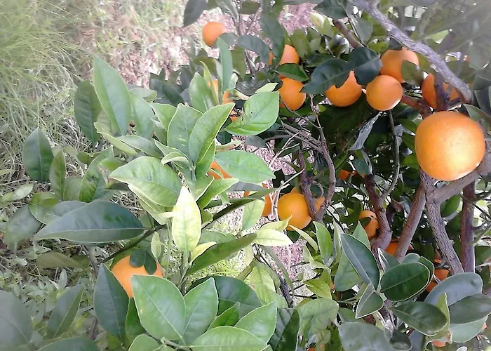 Apartamento Bilic Vis